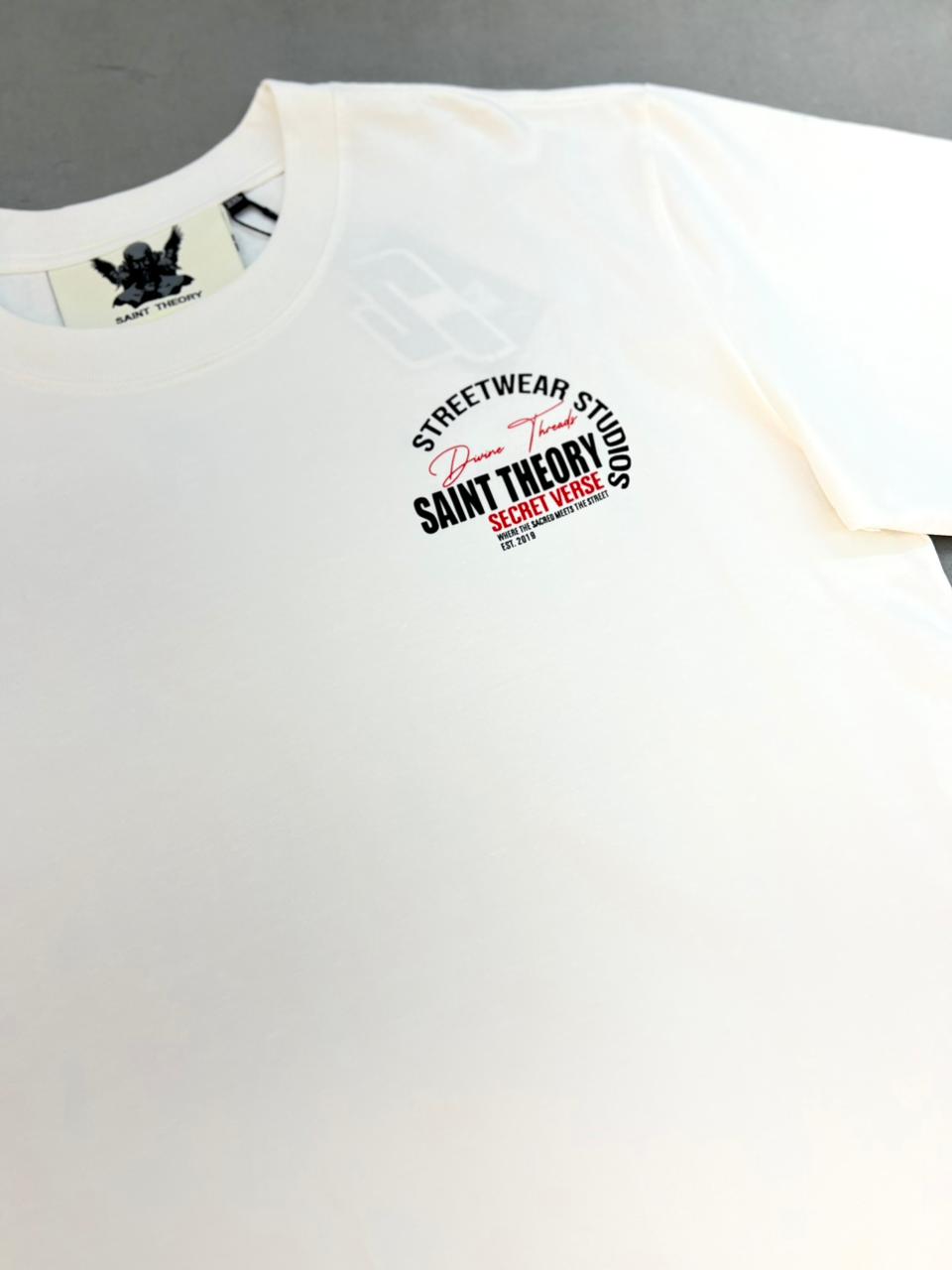 CAMISETA SAINT THEORY PREMIUM*