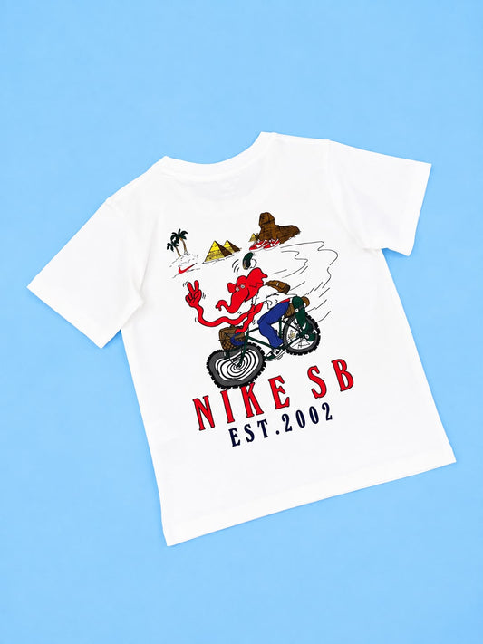 CAMISETA NIKE PREMIUM