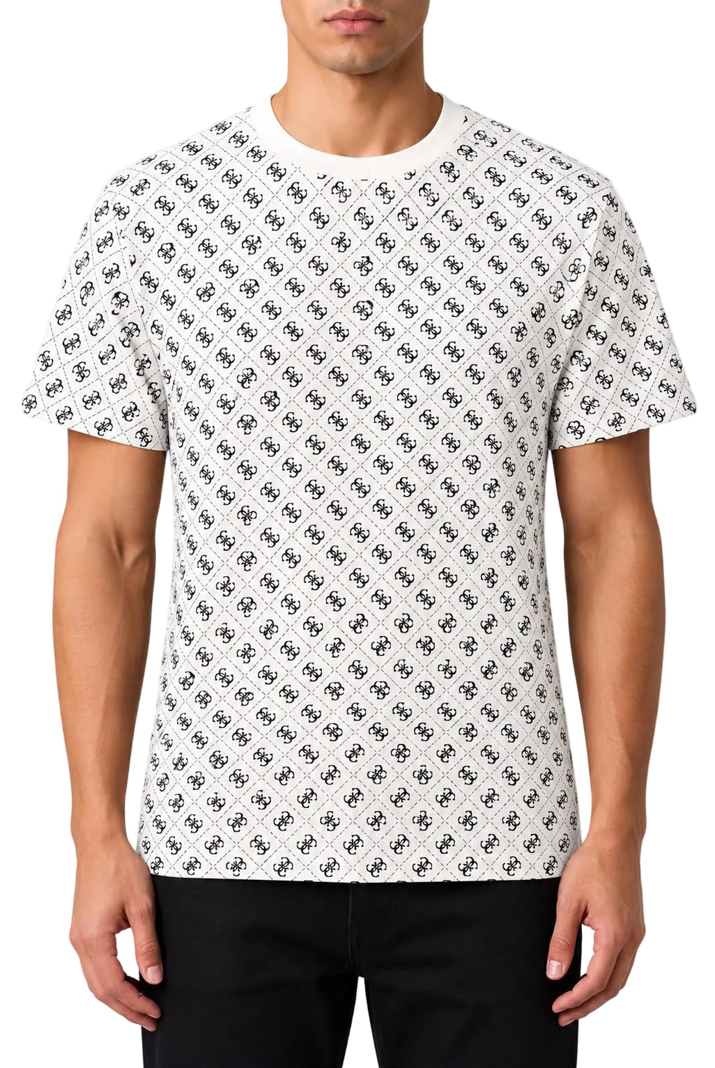 CAMISETA GUESS PREMIUM-